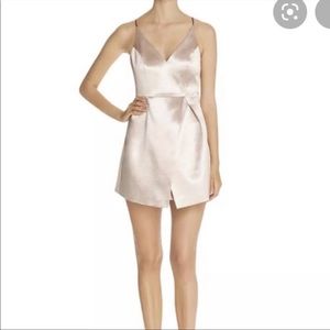 Mustard Seed Cocktail Dress